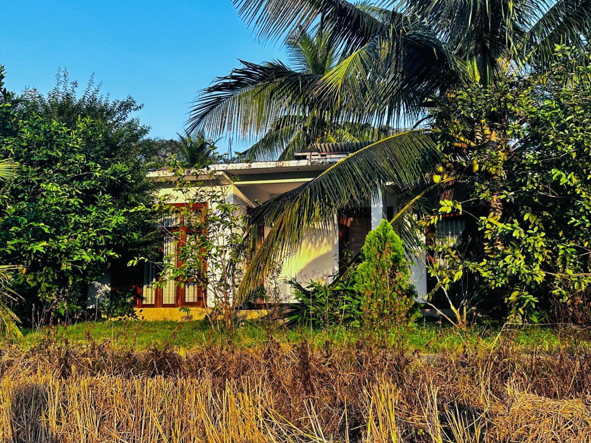 Windy Villa โปลอนนารูวา ภายนอก รูปภาพ