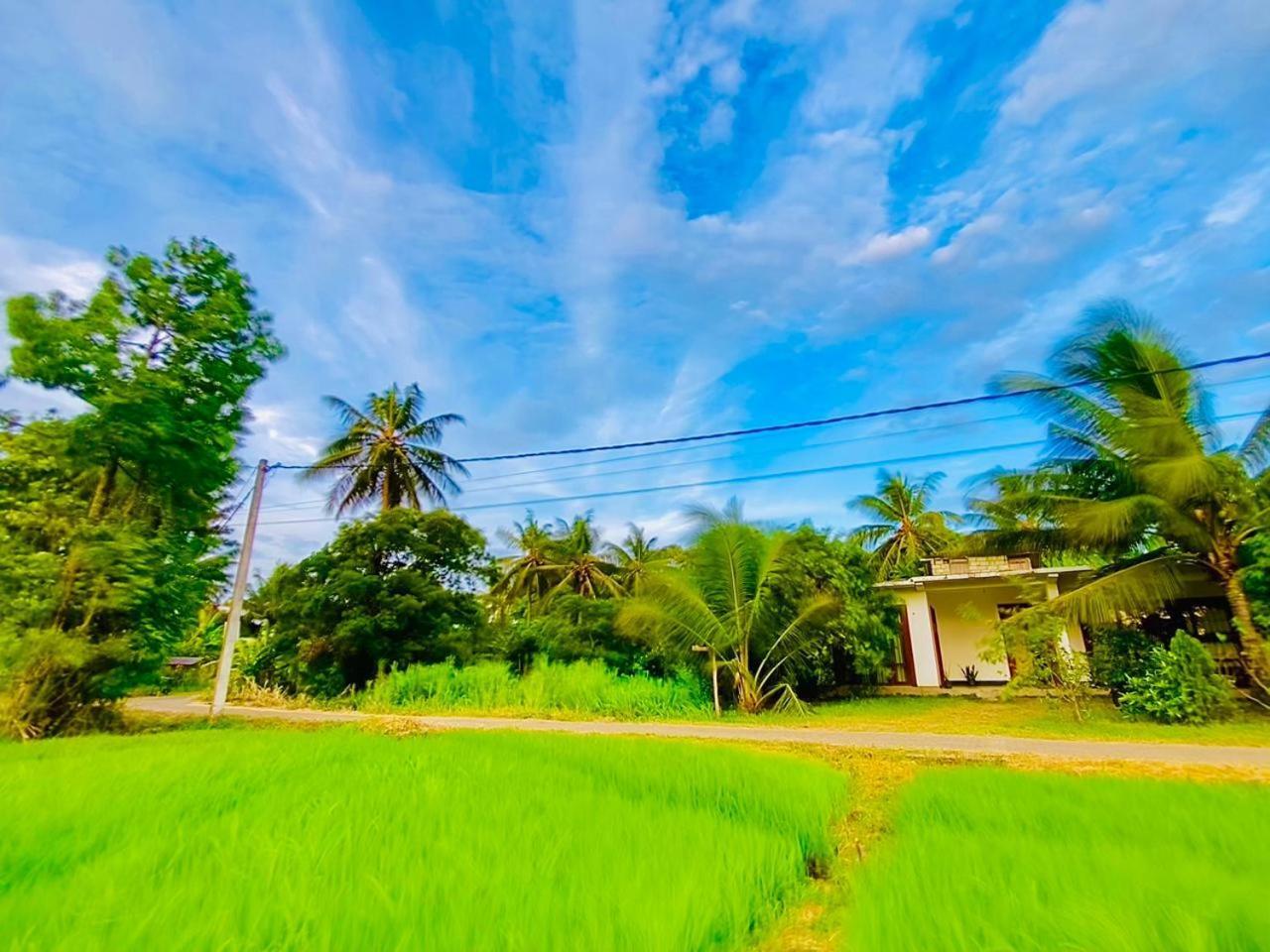 Windy Villa โปลอนนารูวา ภายนอก รูปภาพ