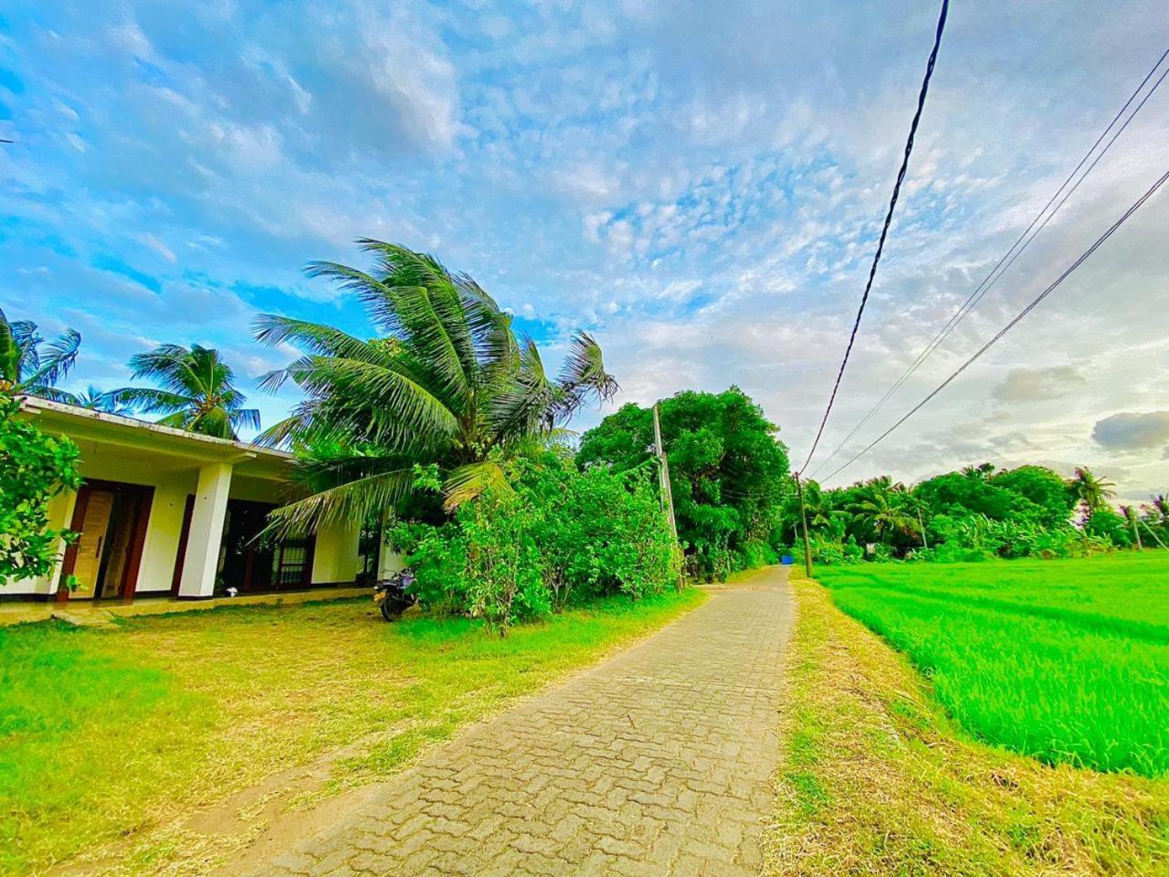 Windy Villa โปลอนนารูวา ภายนอก รูปภาพ