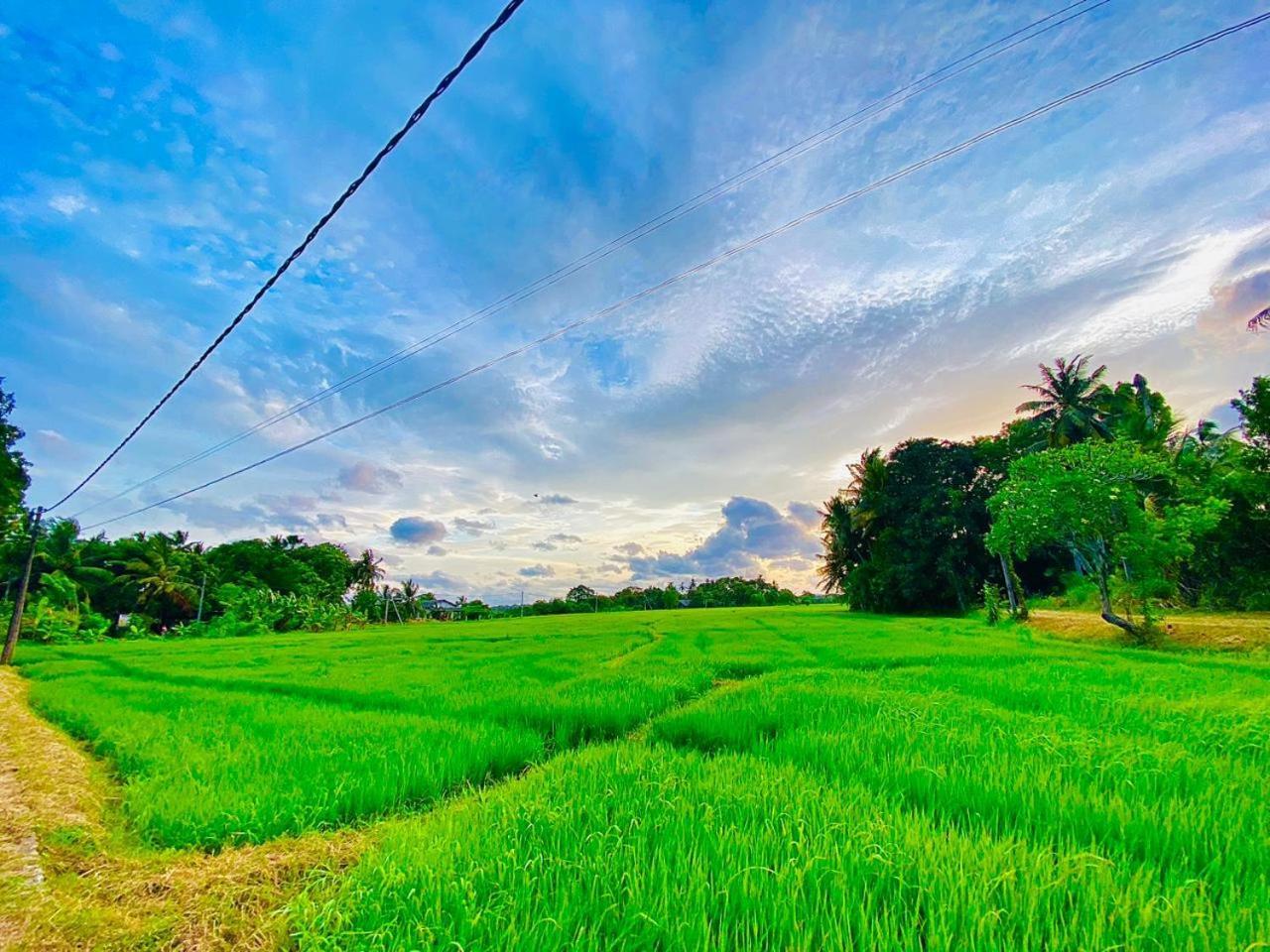 Windy Villa โปลอนนารูวา ภายนอก รูปภาพ